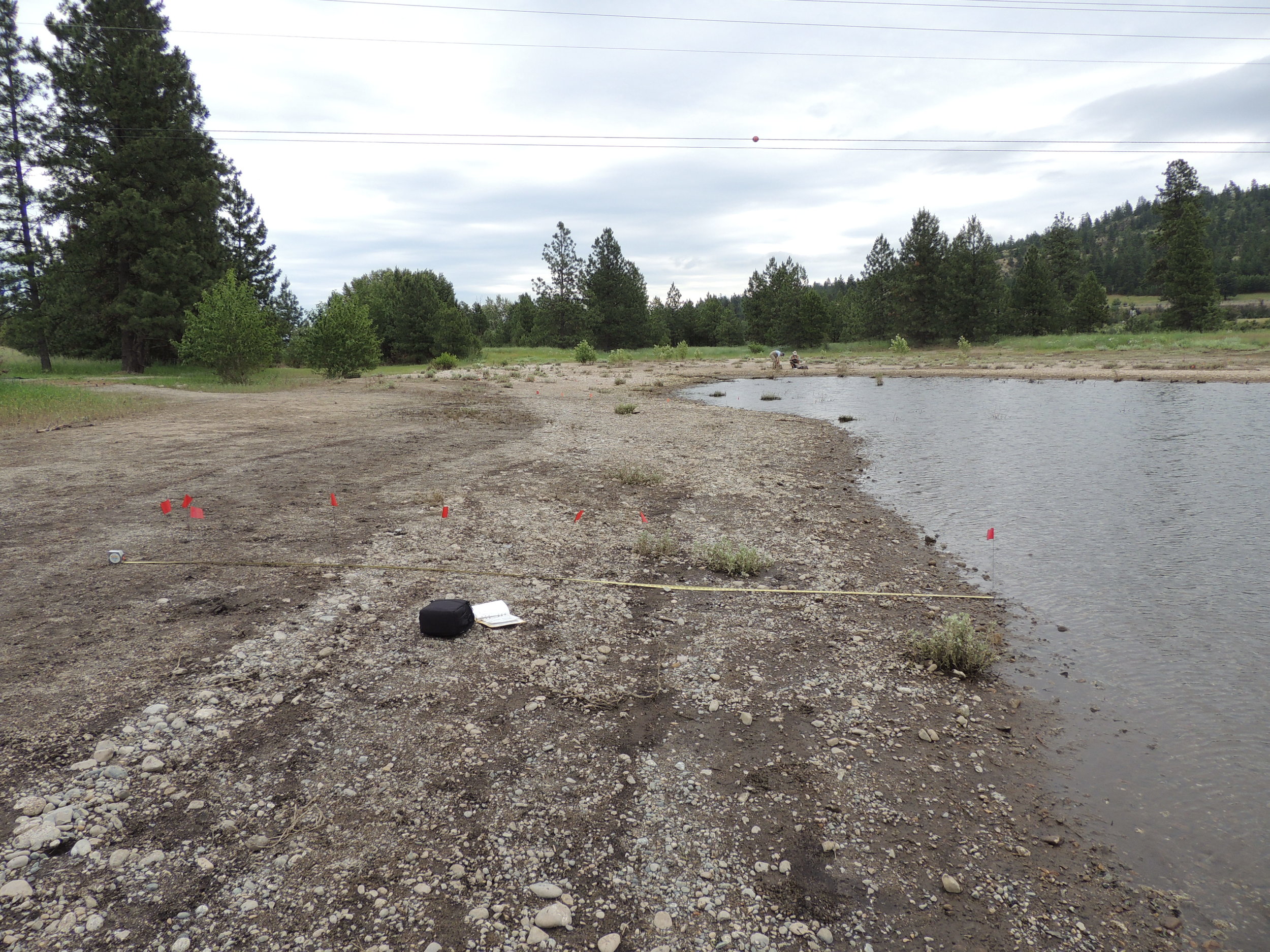 NEPA/SEPA Consultation and Environmental Permitting