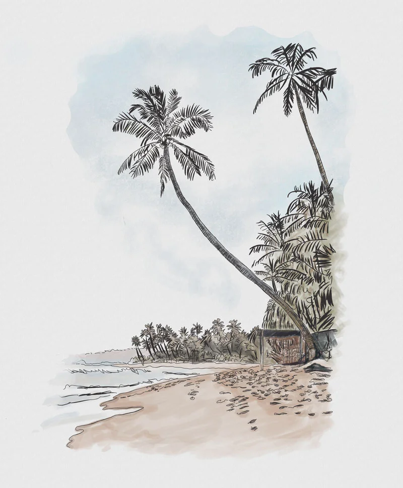 Image: Illustration of Arugam Bay (taken from our new Cocotails Menu - OUT SOON!)