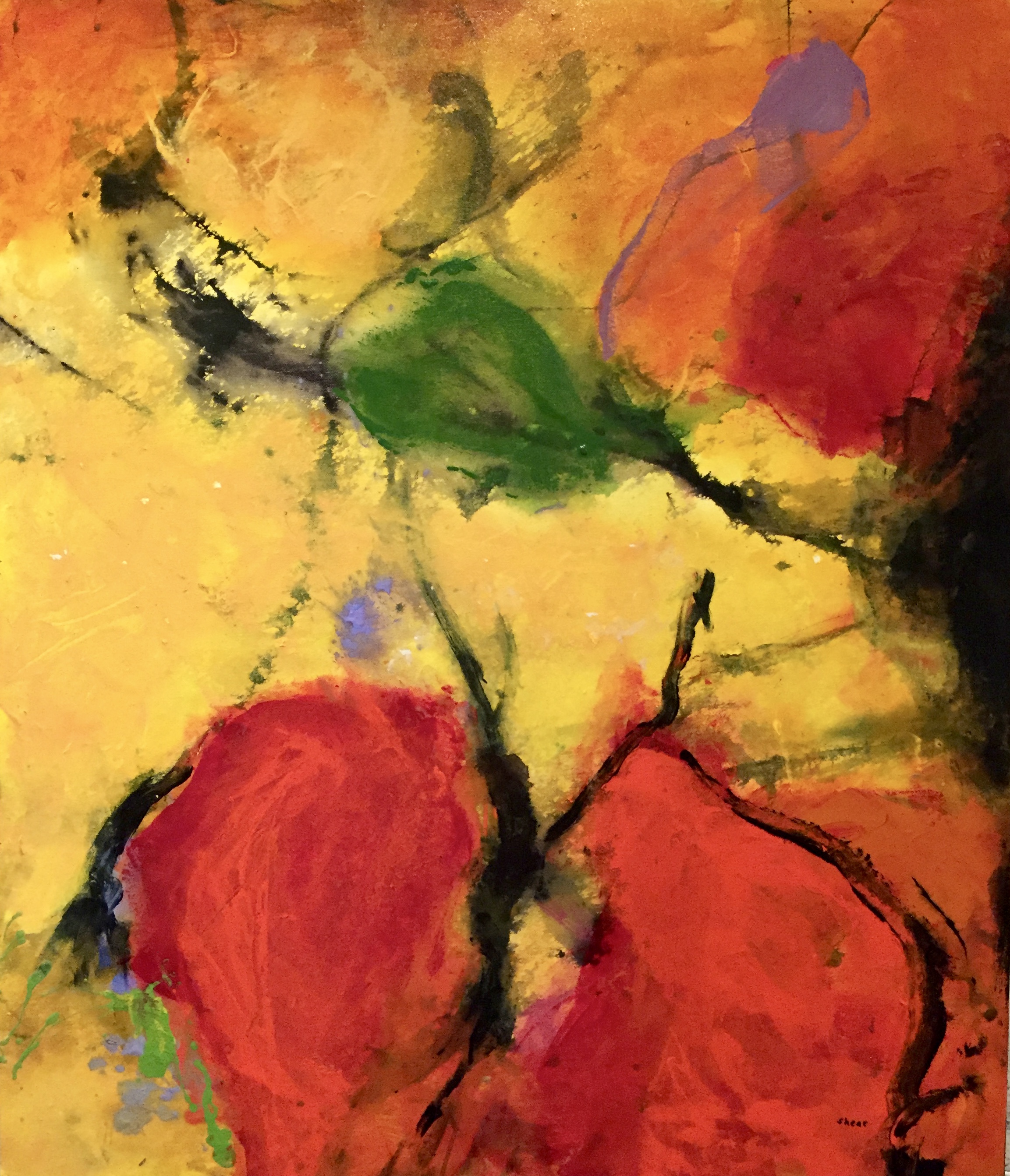 Barbarruth (33x28)