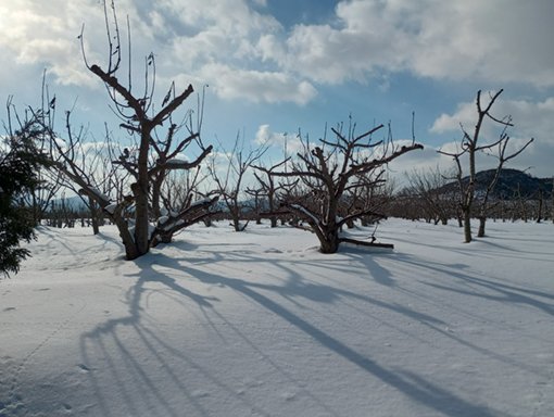 Learning - winter gallery 02.jpg