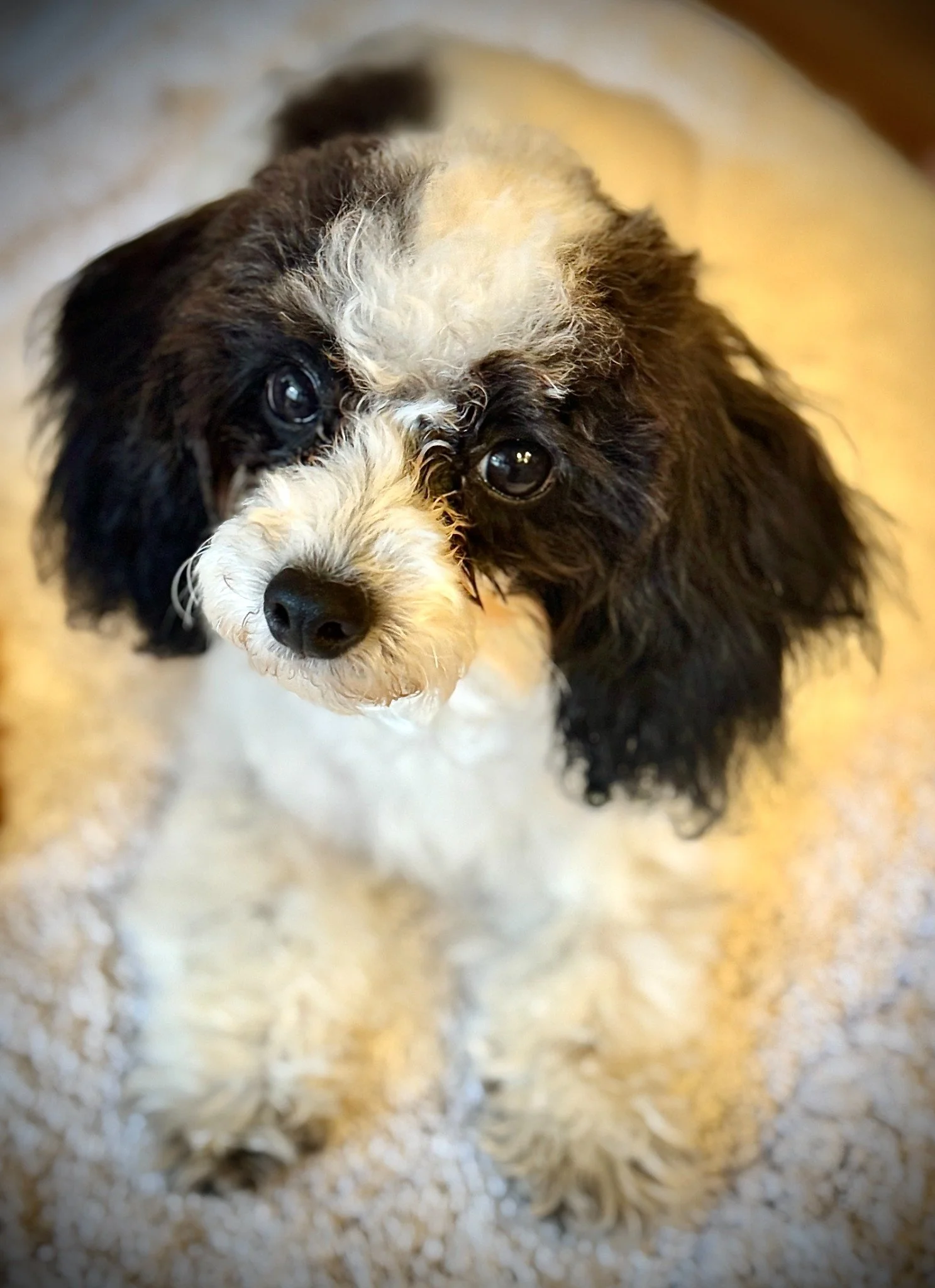 WinnieBecca