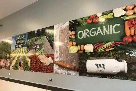 Wall Murals