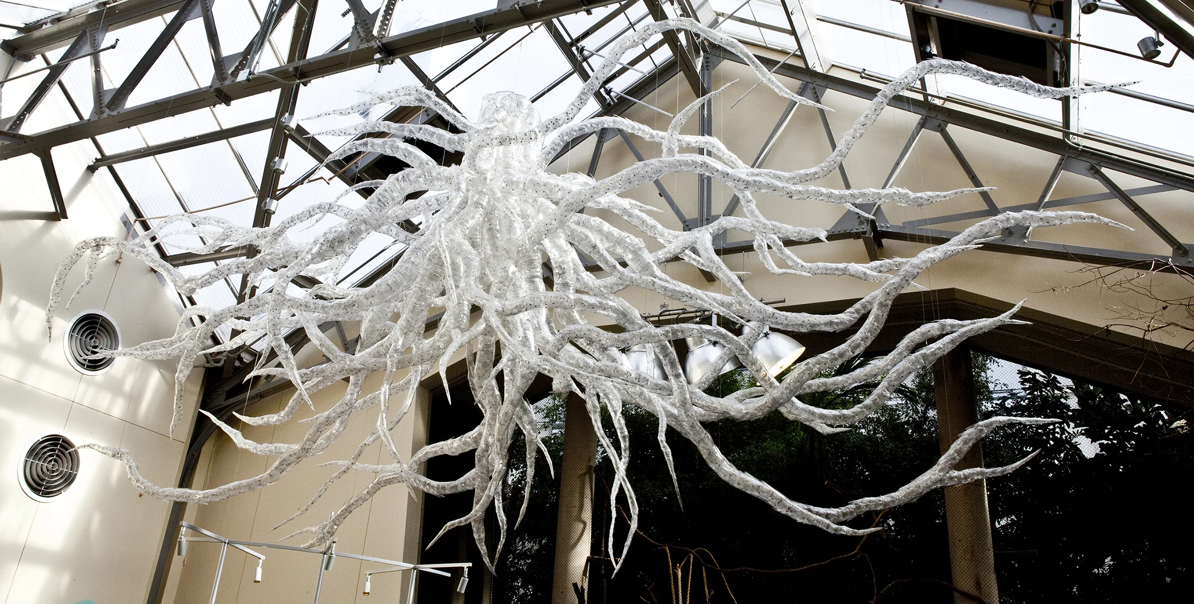 Root System Access