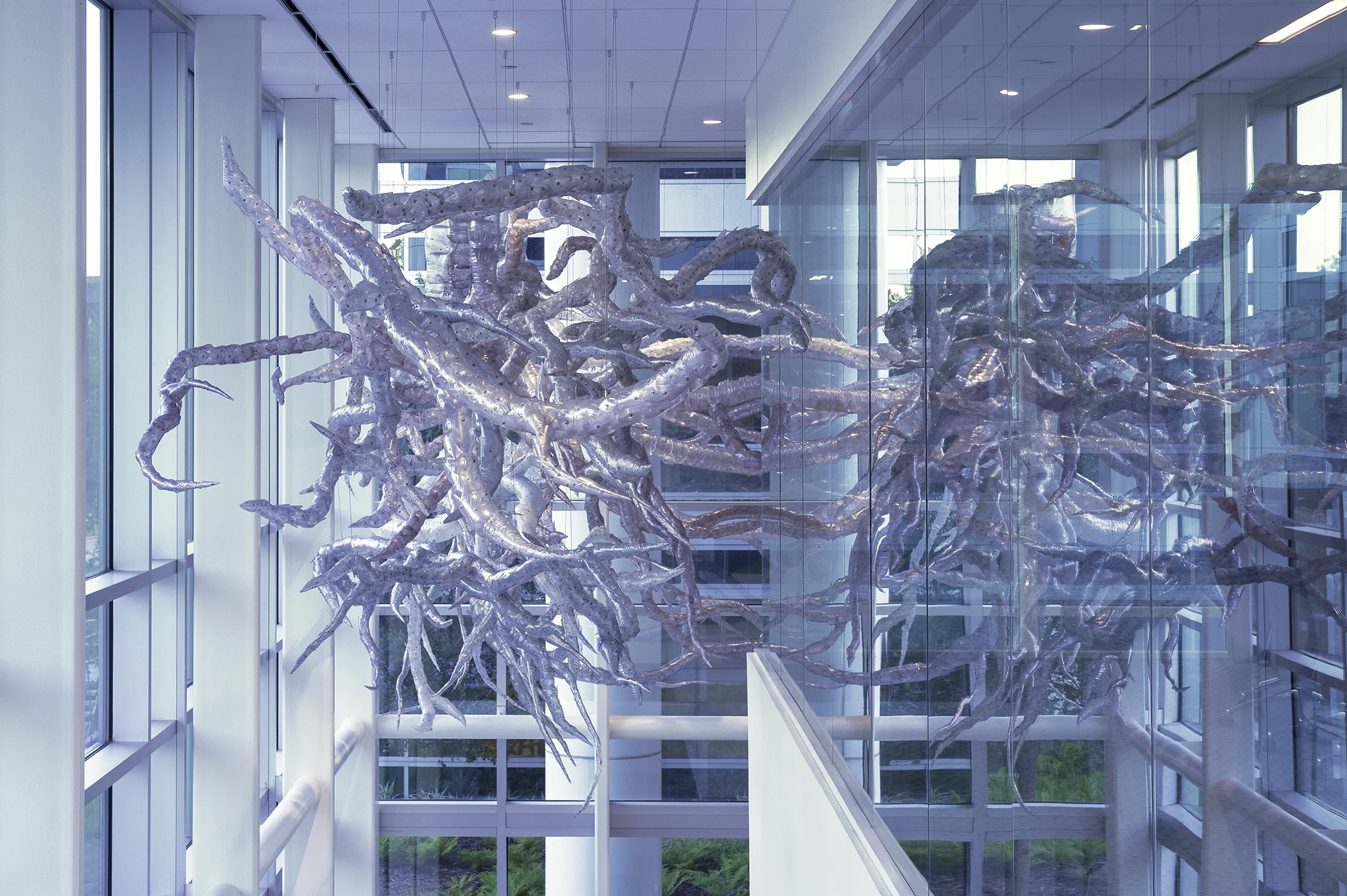 NBaker_Robson_Plant Perception_141007_7682.jpg