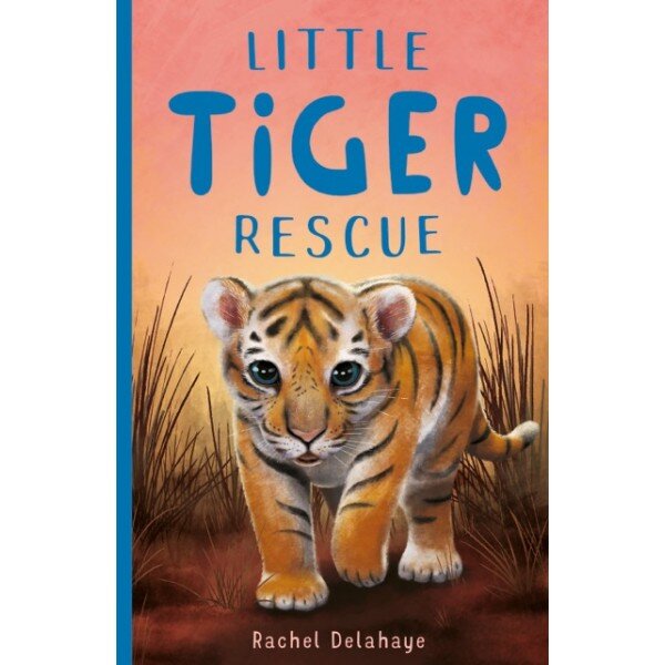 Little Tiger Rescue.jpeg