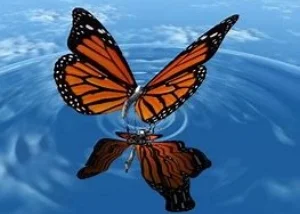 butterflywater.jpg