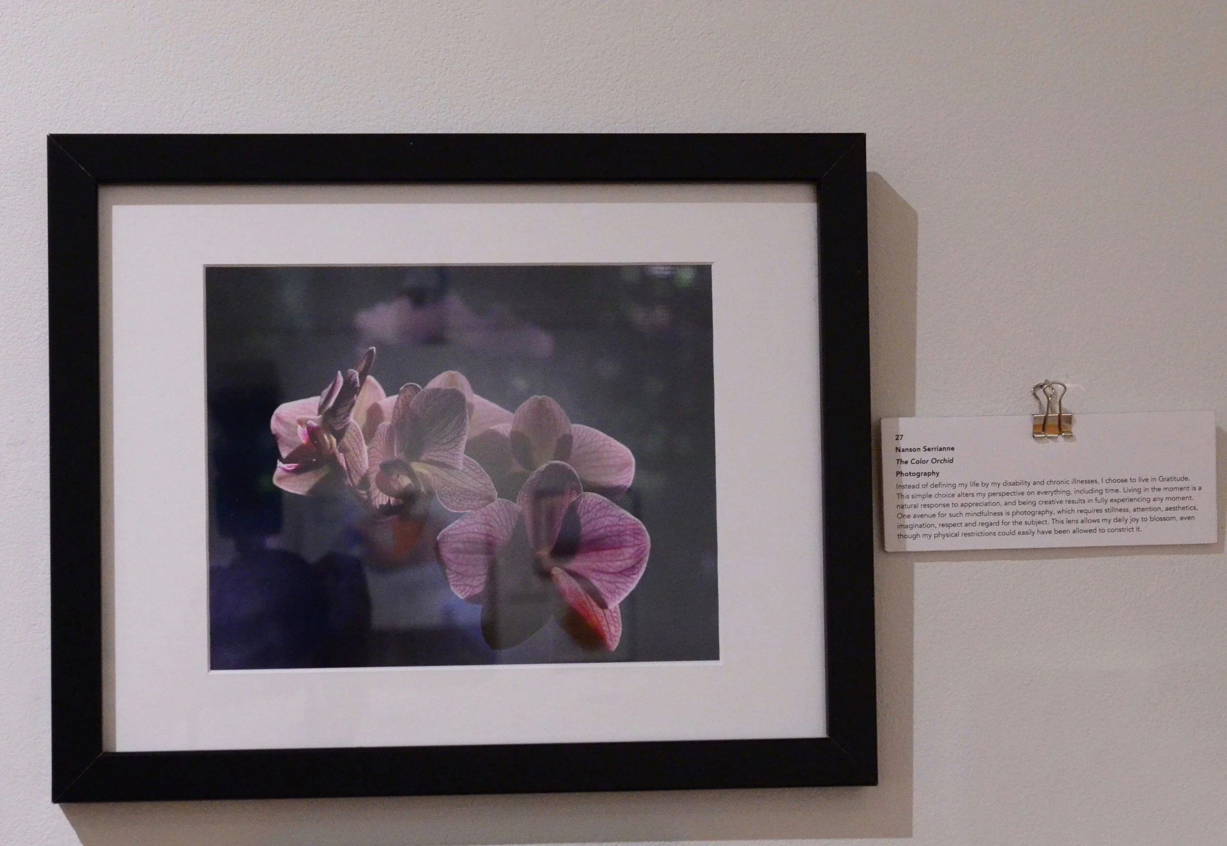 Serious illness. Caregiver. Photography of a vibrant purple orchid by Nanson Serrianne