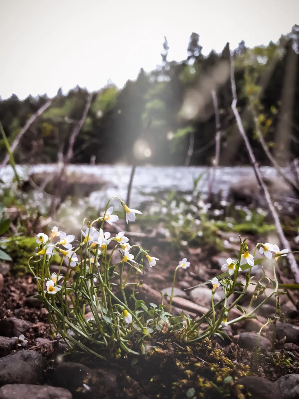 Photograph courtesy and property of Chad Leonard