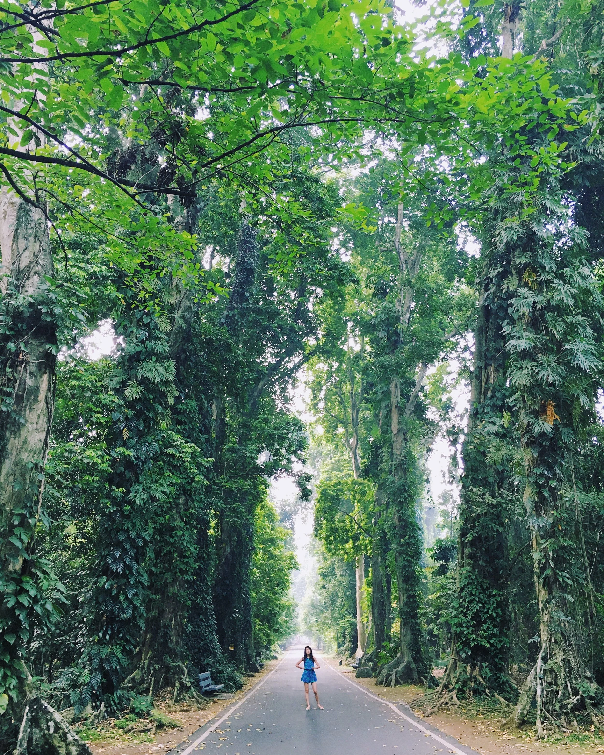 Kebun Raya Bogor, Indonesia