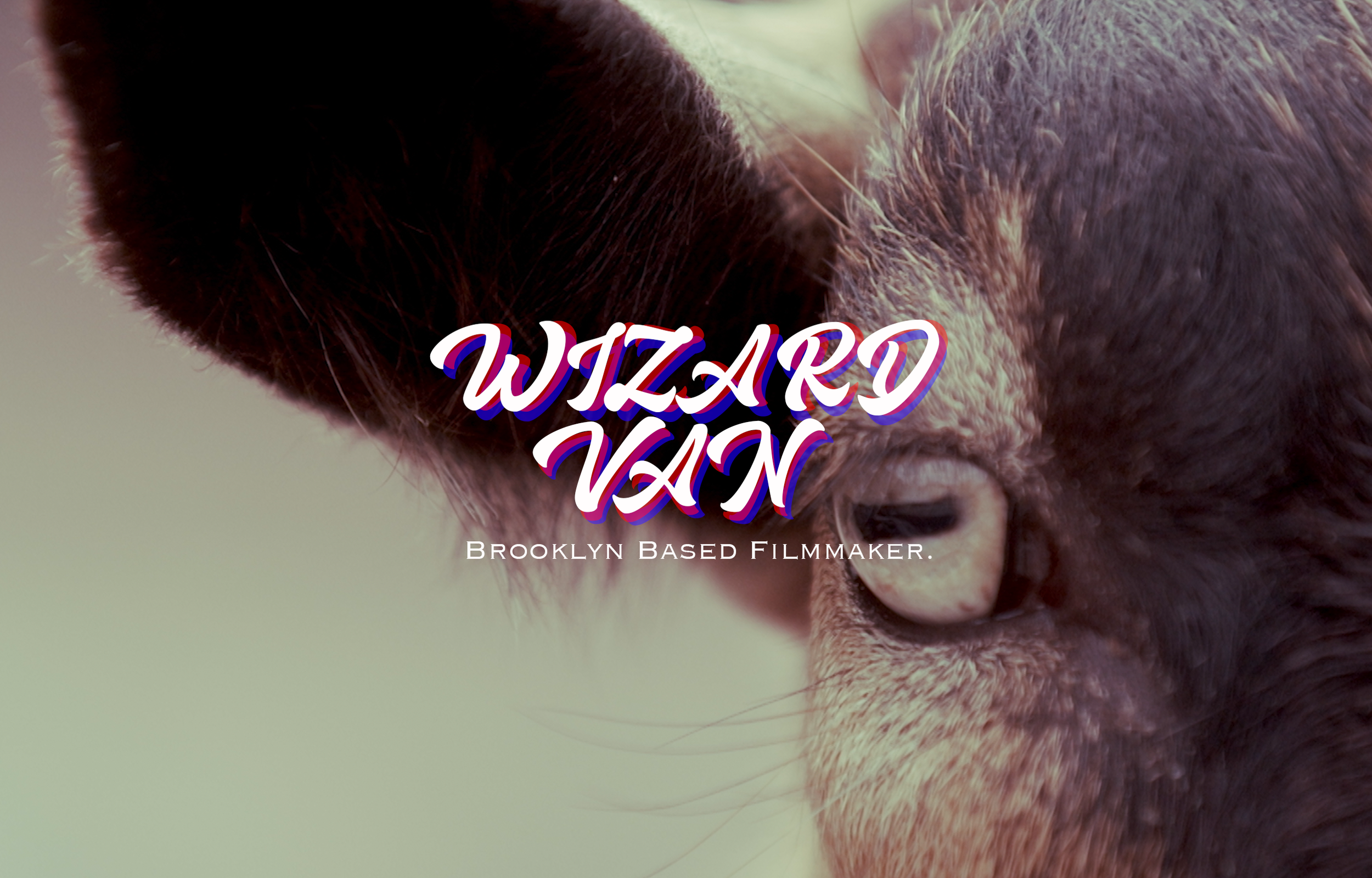 Wizard_Van_Logo_Landing_Page.png