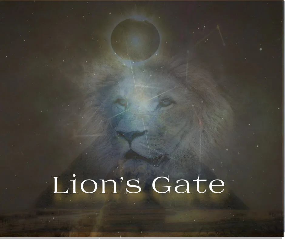 lions (1).jpg