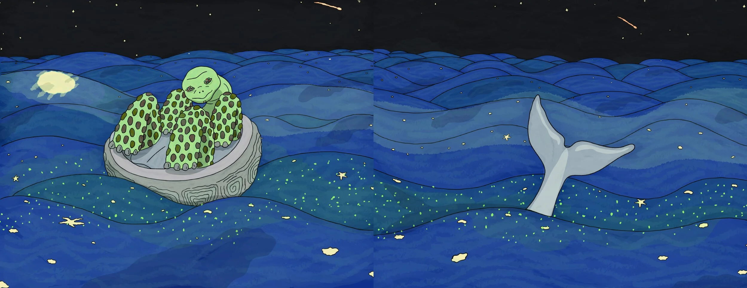 Galapagos Book V8 Export T1 copy 14-14.jpeg