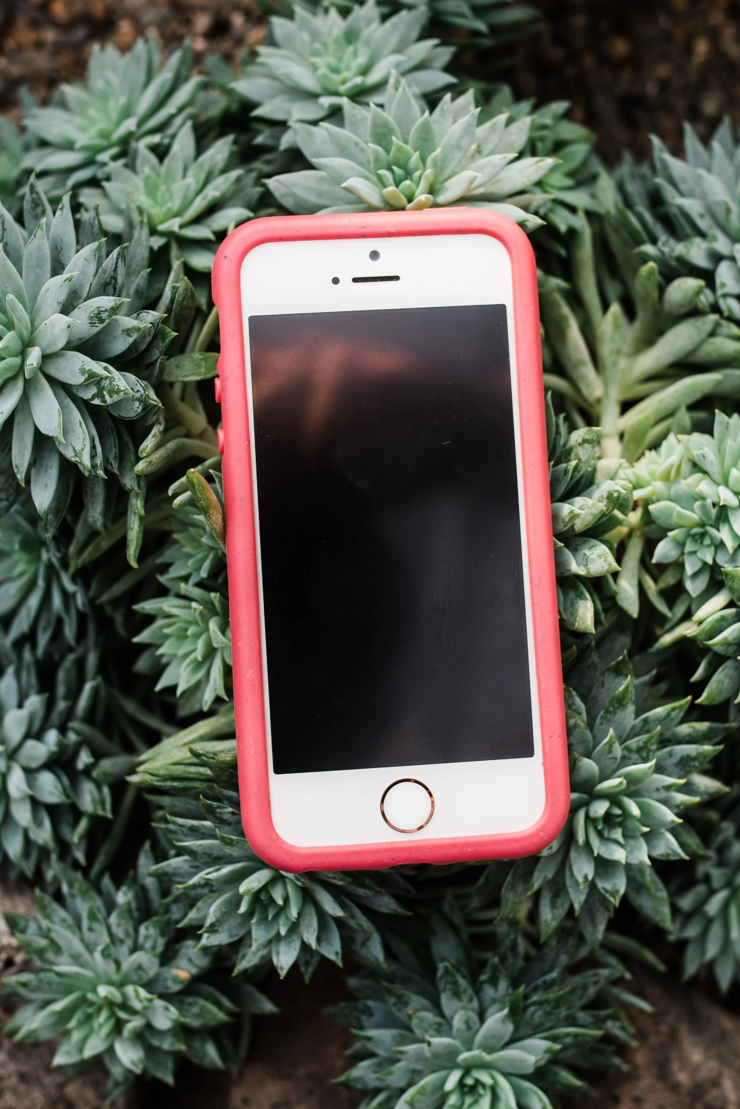 Pela-iphone-case-2.jpg