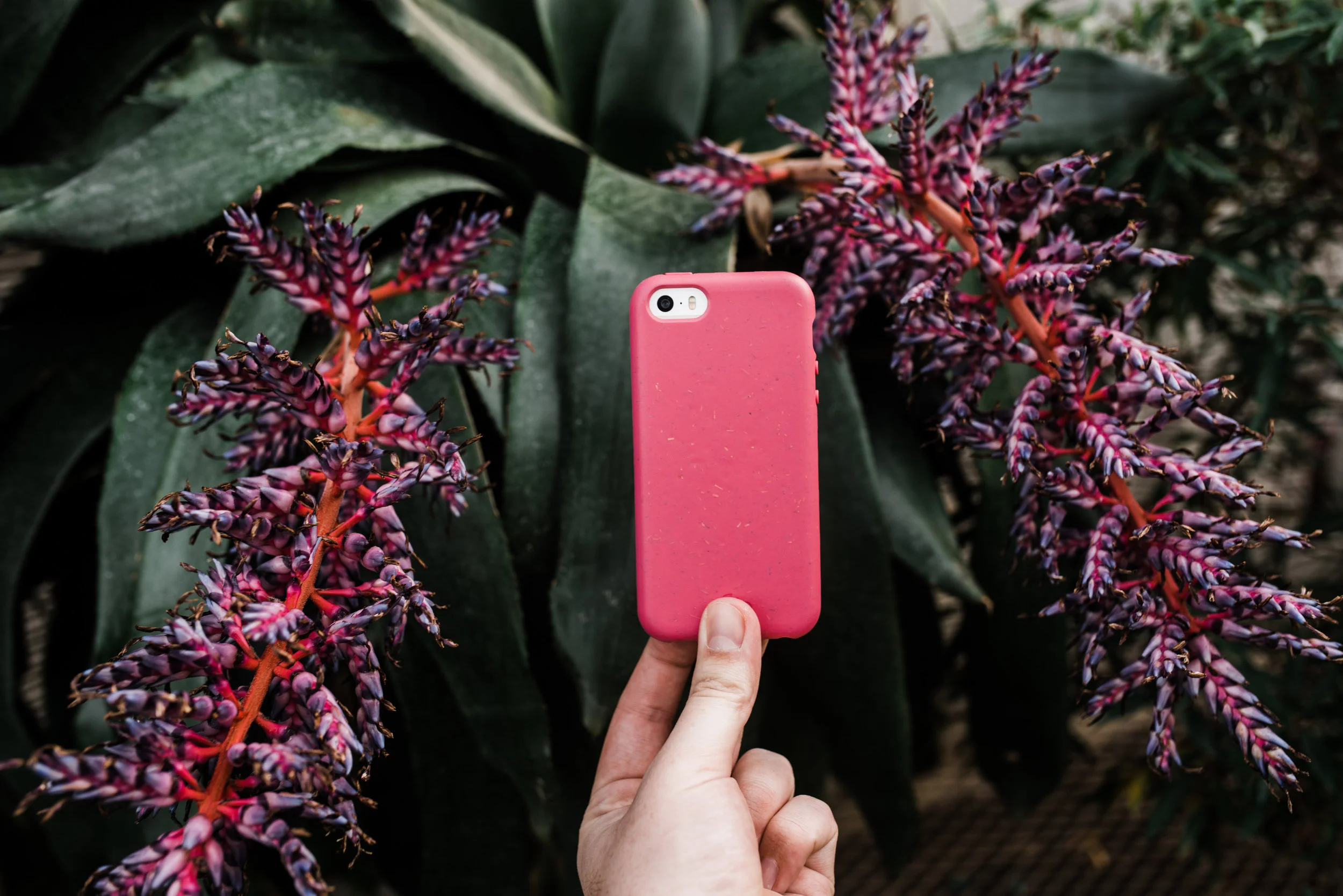 Pela-iphone-case-1.jpg