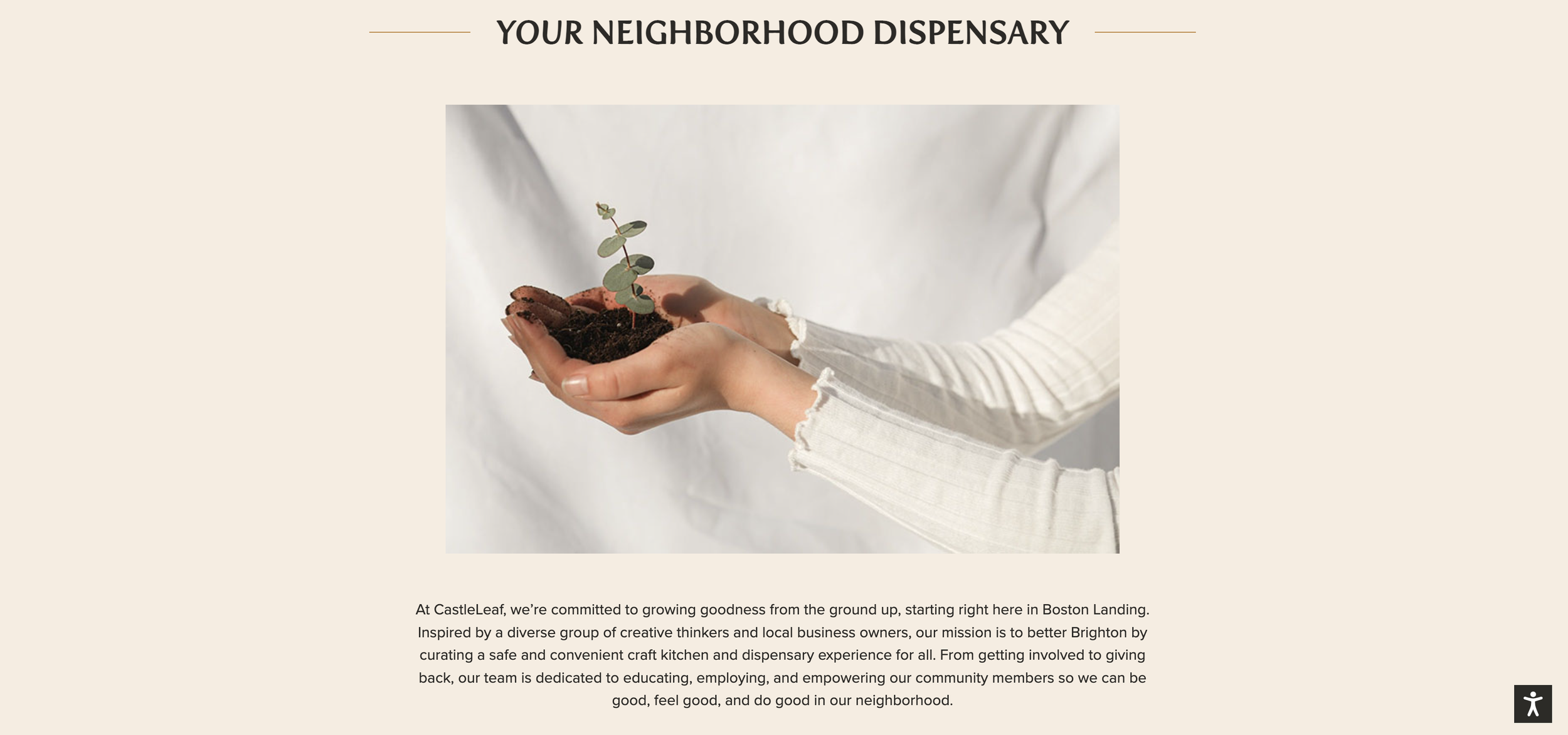 Screen Shot 2023-05-18 at 12.29.55 PM.png