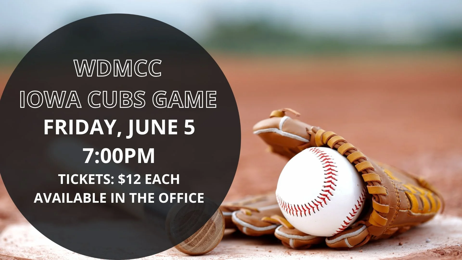 Iowa Cubs Game