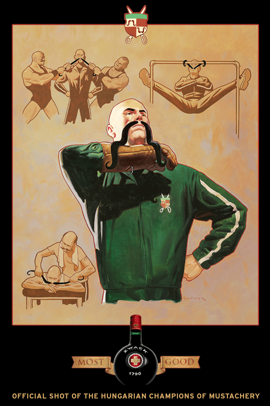 zwackmustachery_o.png