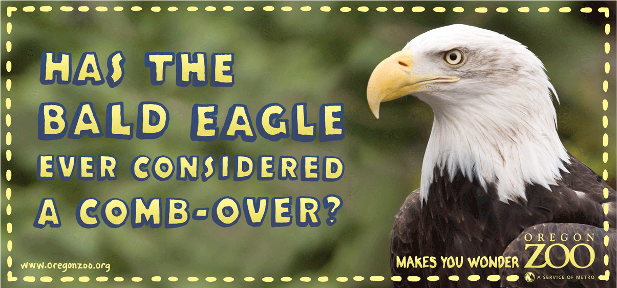 ozooeagle_o.png