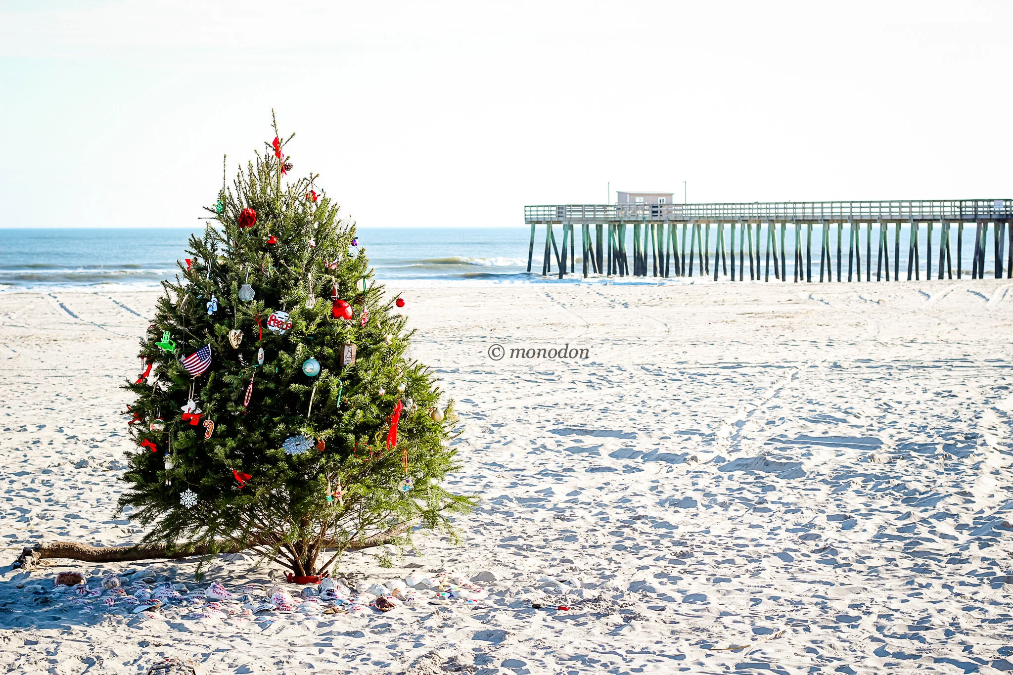 miracle on 30th street 8x10 watermark.jpg