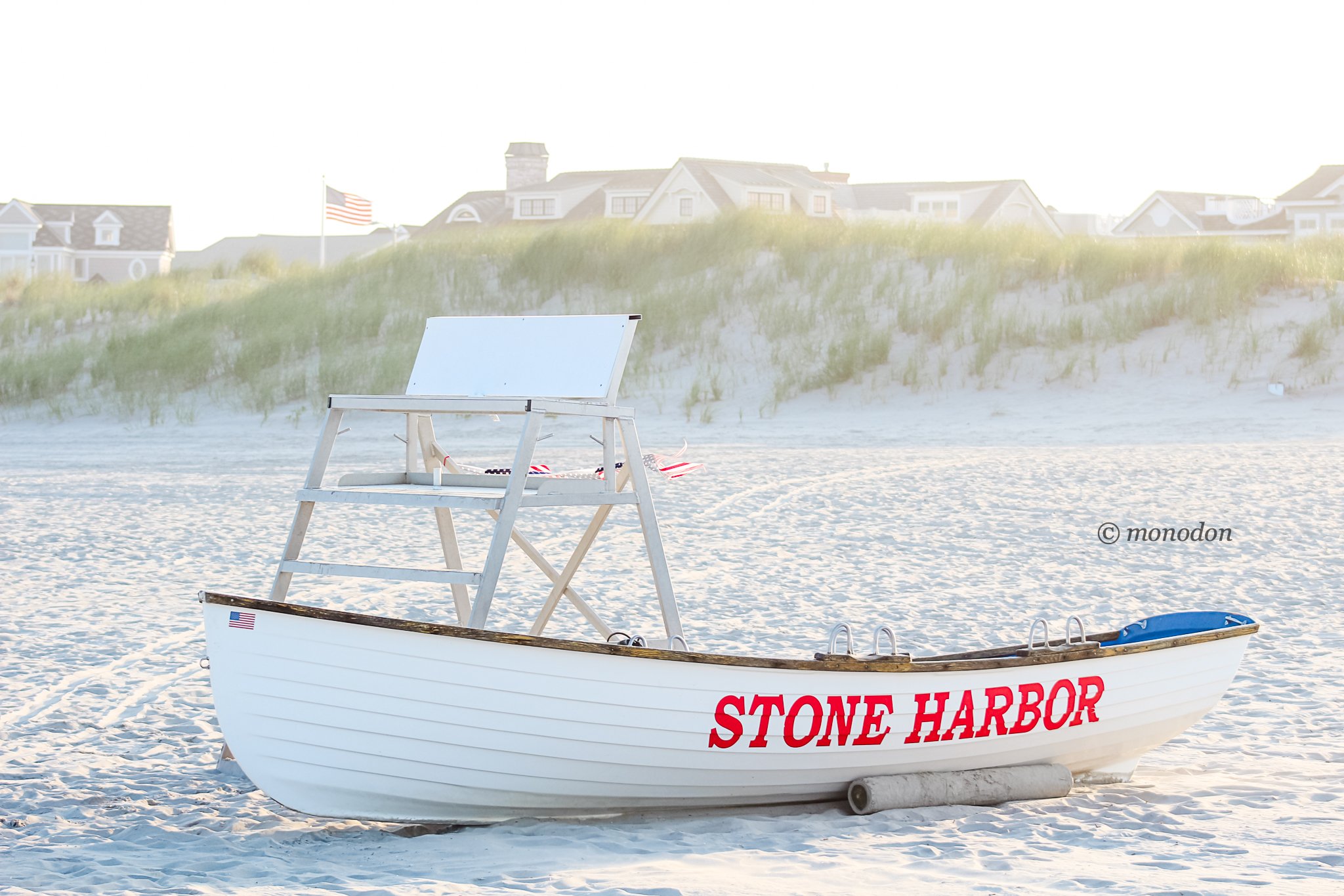 stone harbor life.jpg