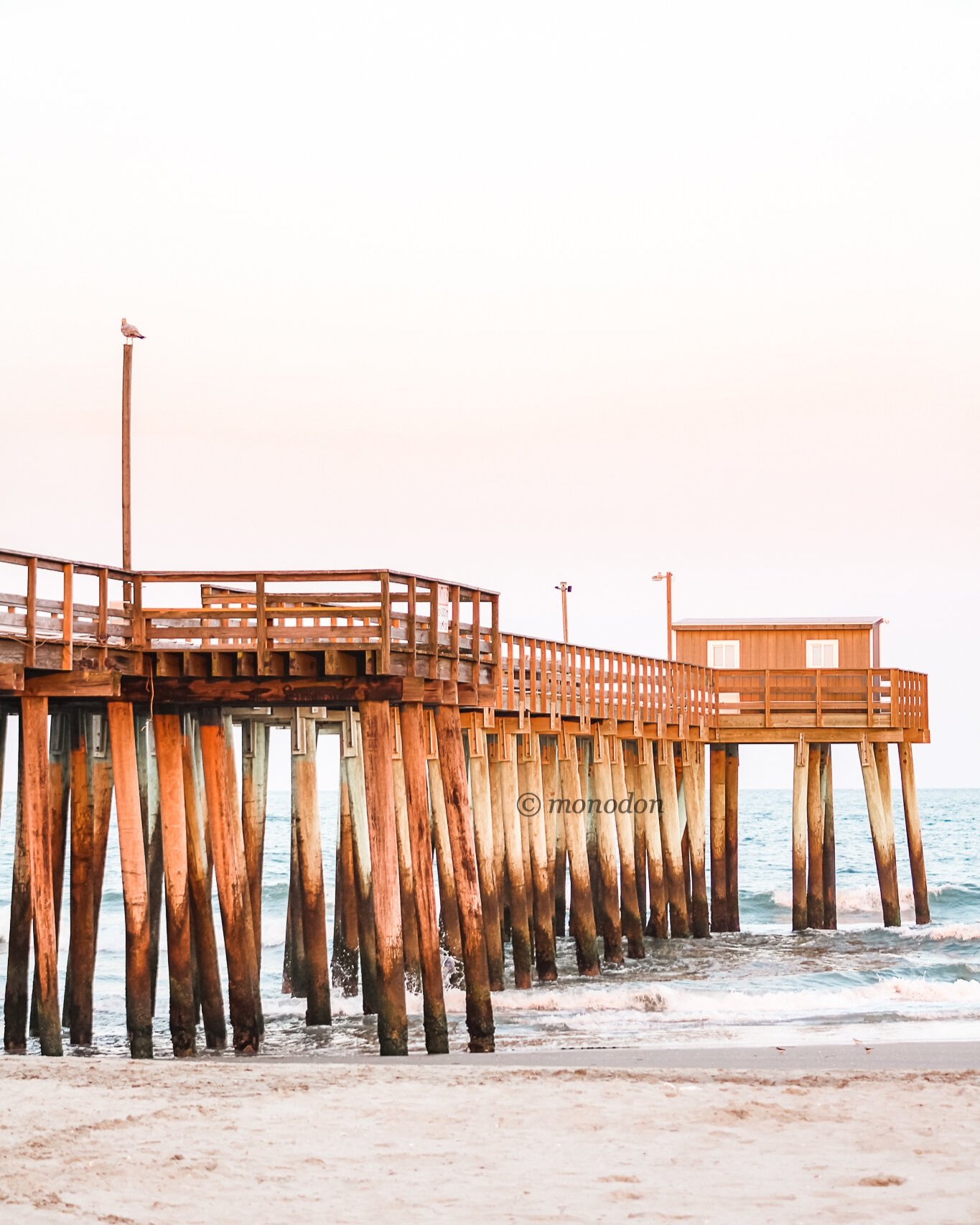pier+2.jpg