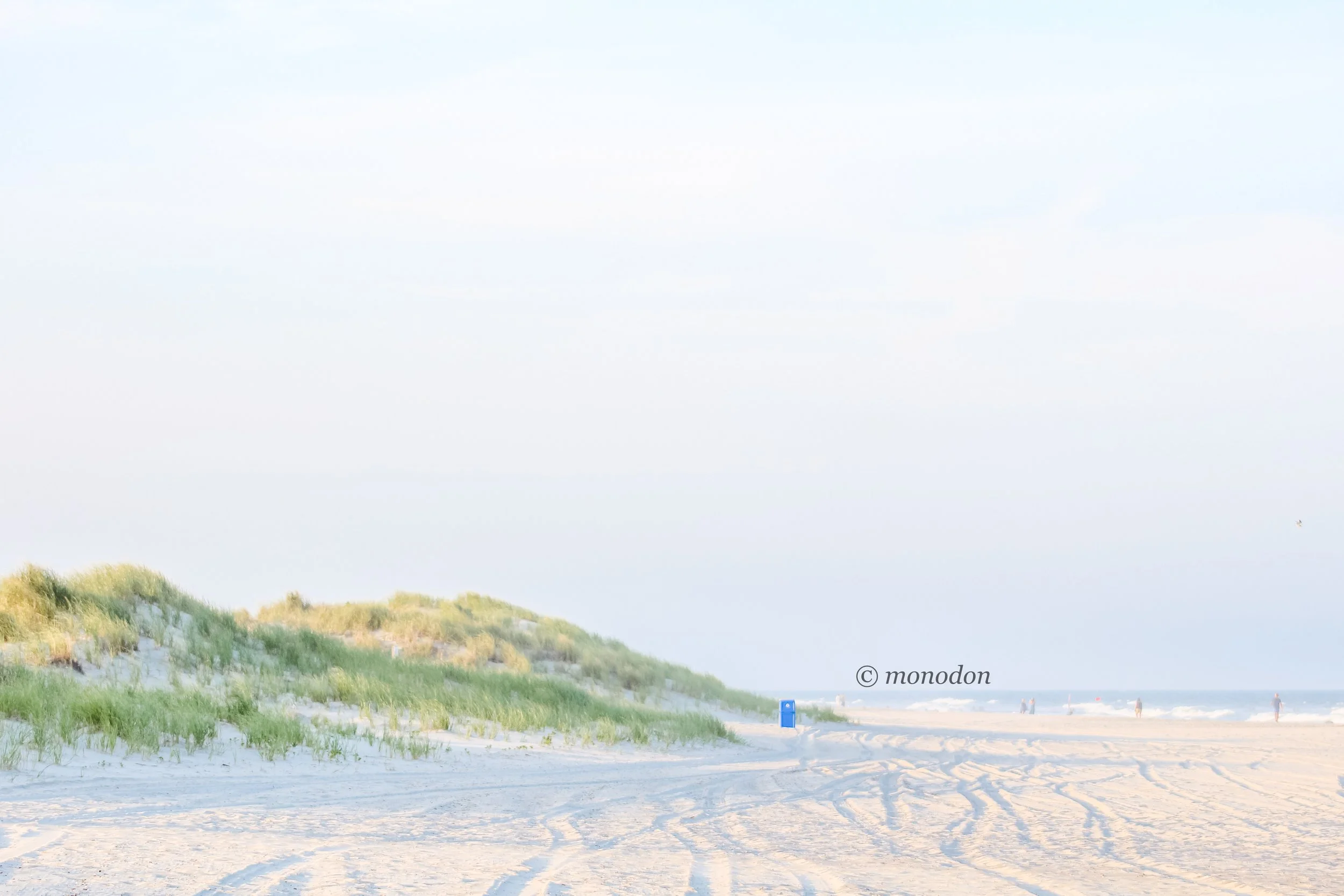 dune views.jpg