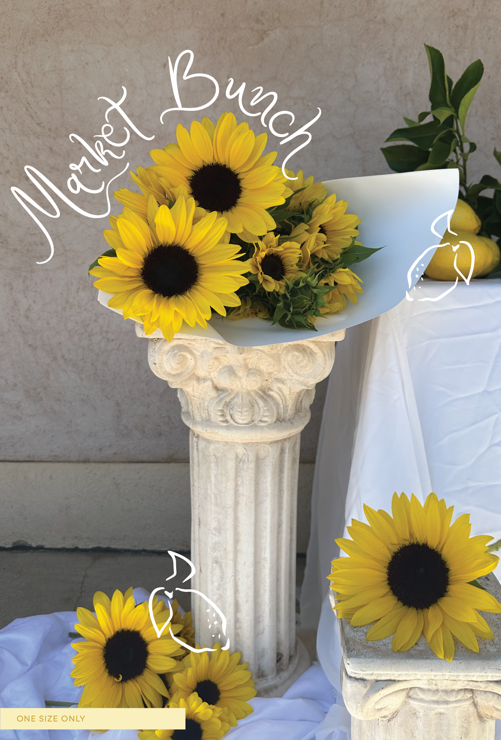 MDAY 26 WEB_MARKET BUNCH.png