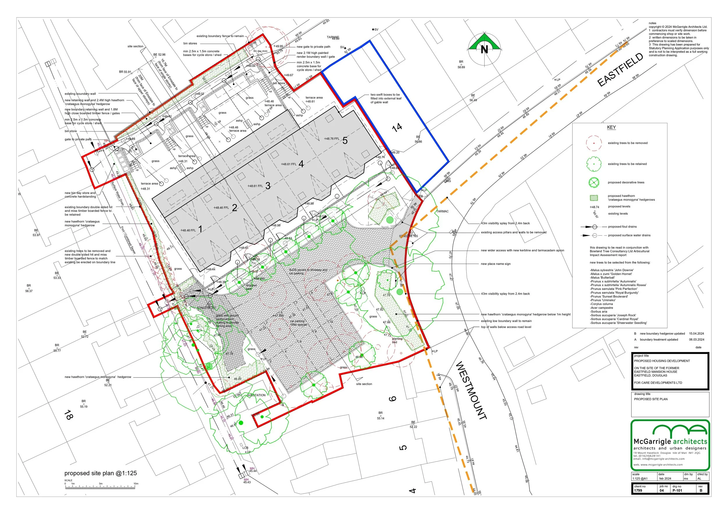 P101revB_Site Plan_page-0001.jpg