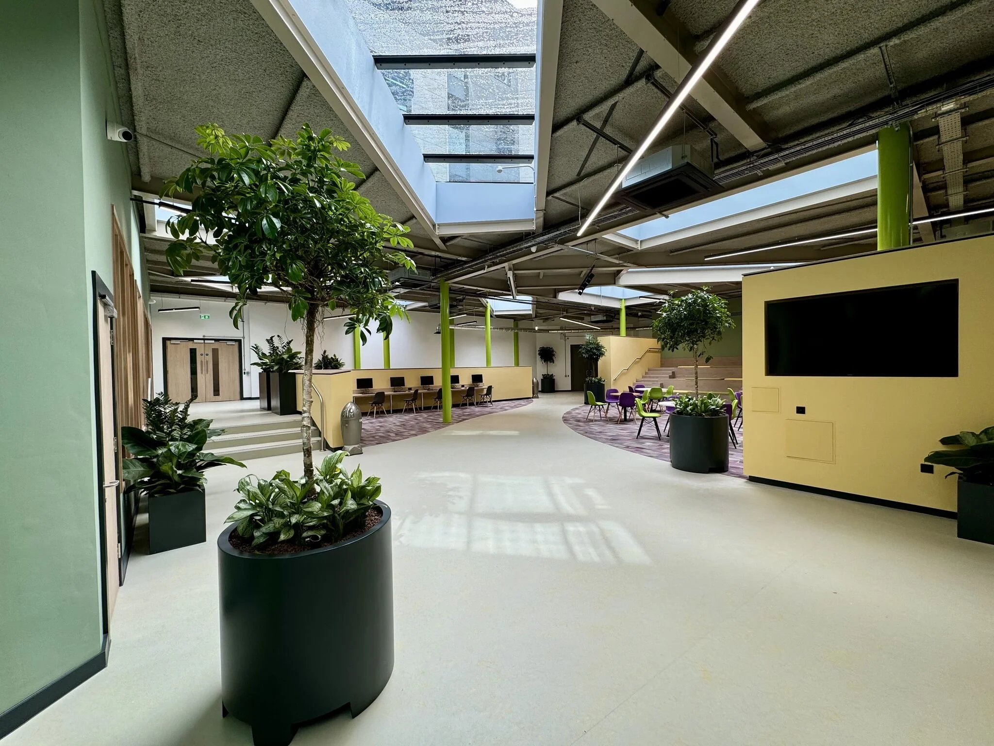 Social Learning Commons