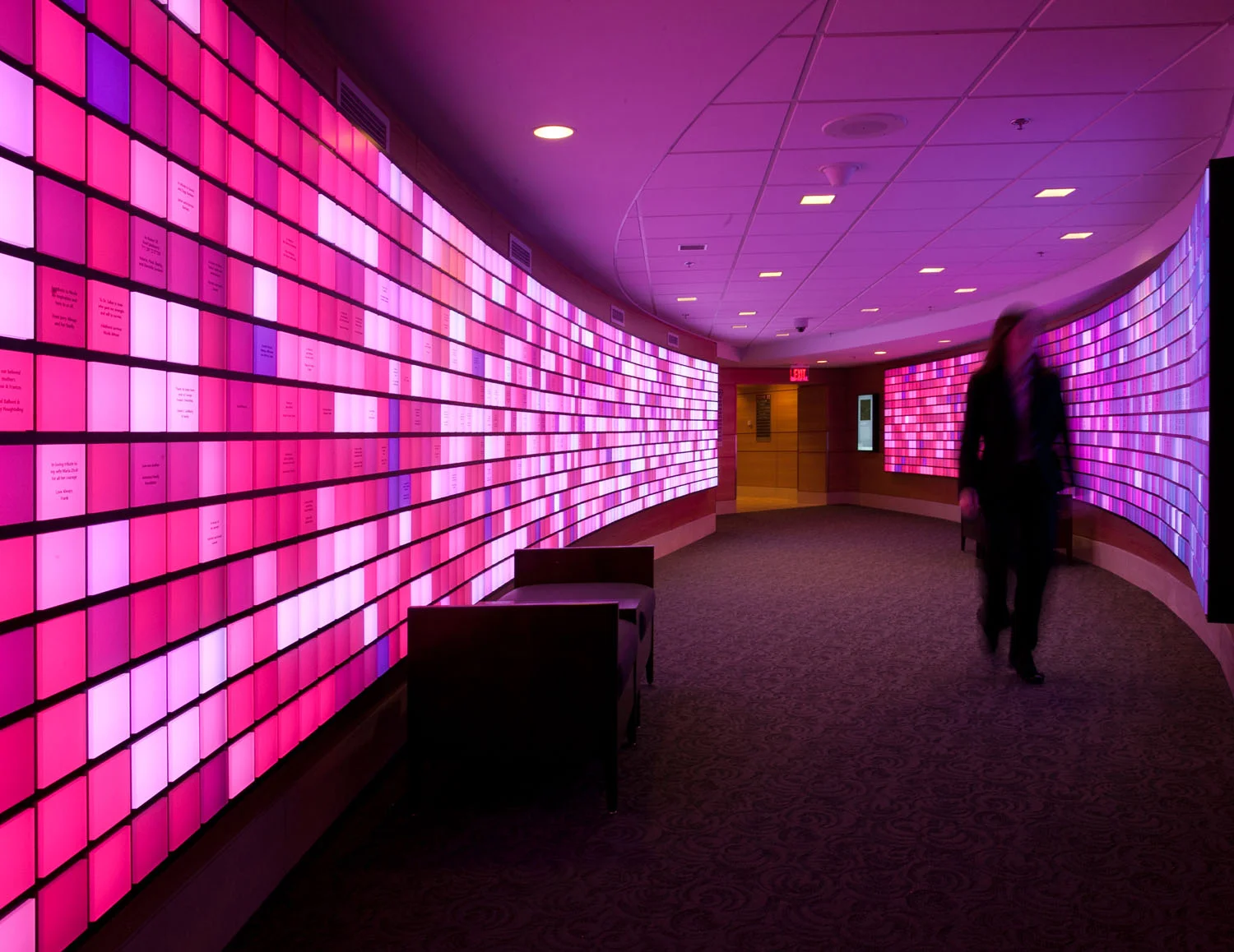 Gene Display Image 2.jpg