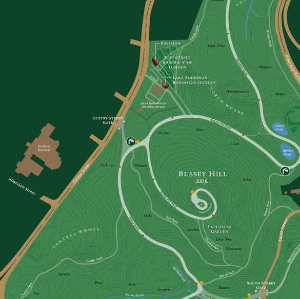 map graphic-detail.jpg
