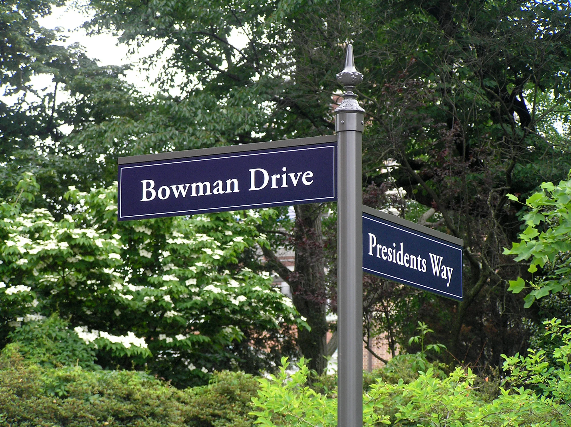 Road signs close.jpg