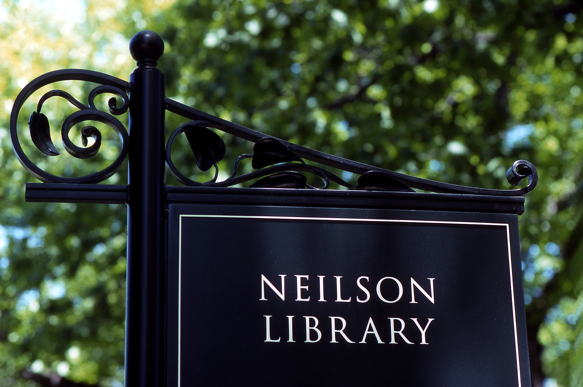 NielsonLib-cl.jpg