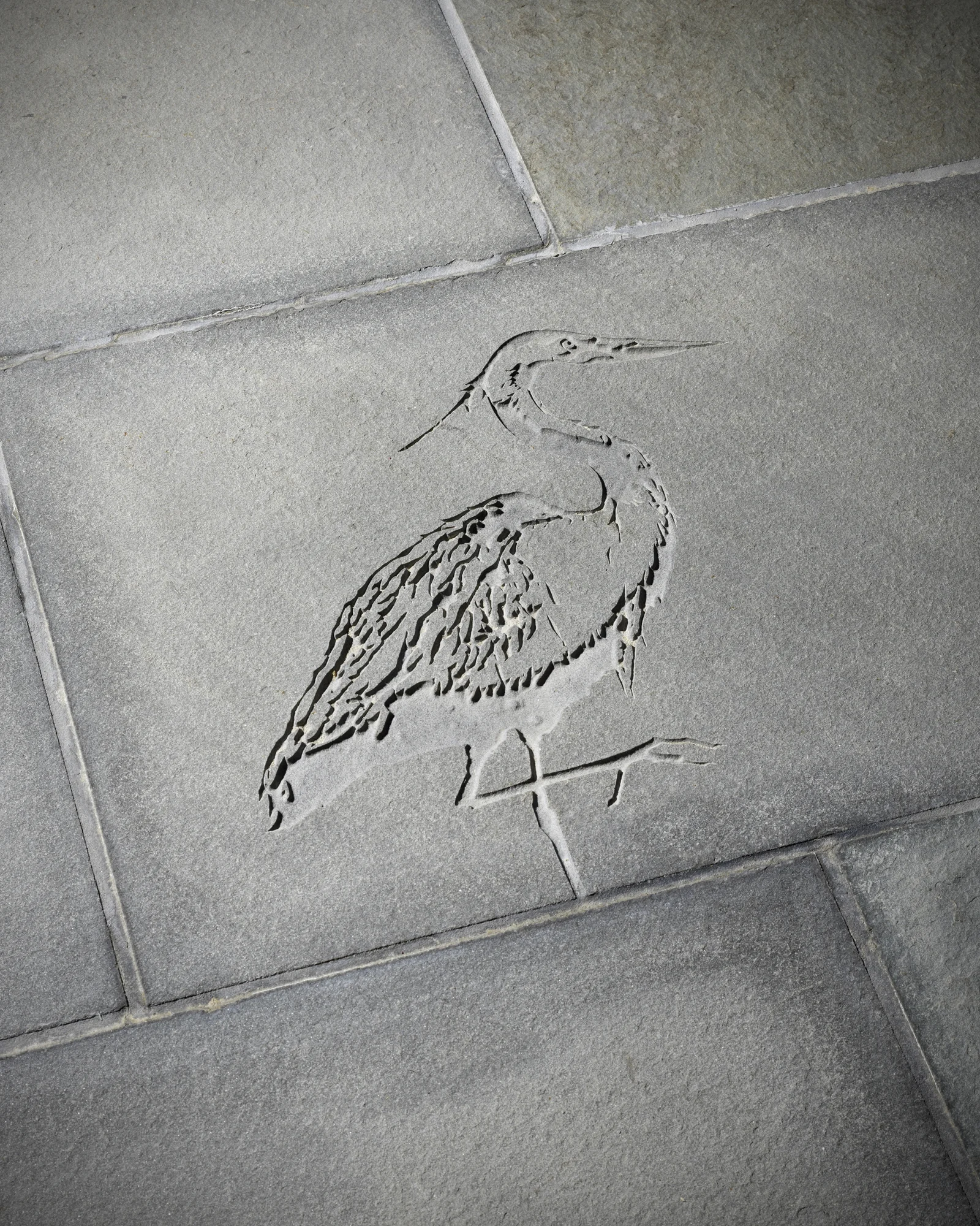 heron.jpg