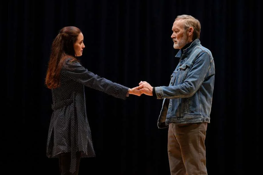 Sarah Grace Wilson and James Carpenter in 'Heisenberg.'