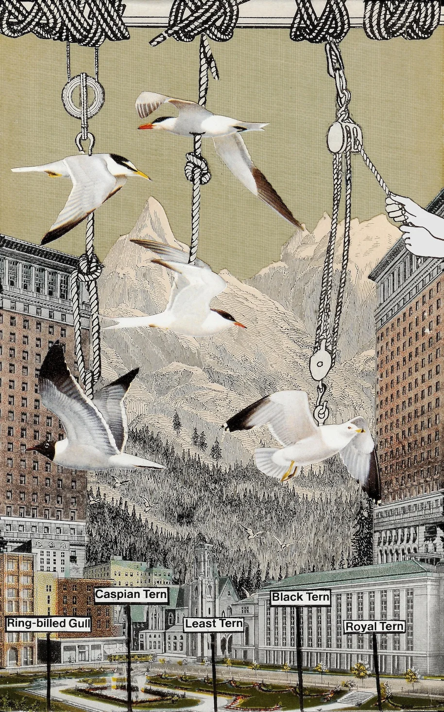 Lead Back to the Earth the Virtue that Flew Away
