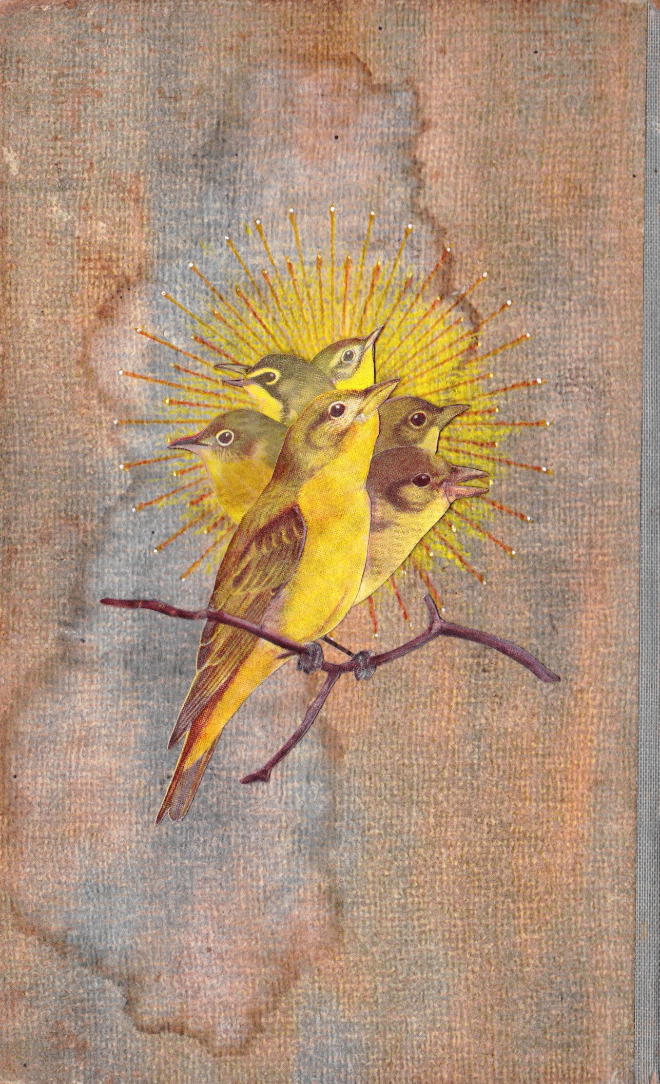 three-headed warbler