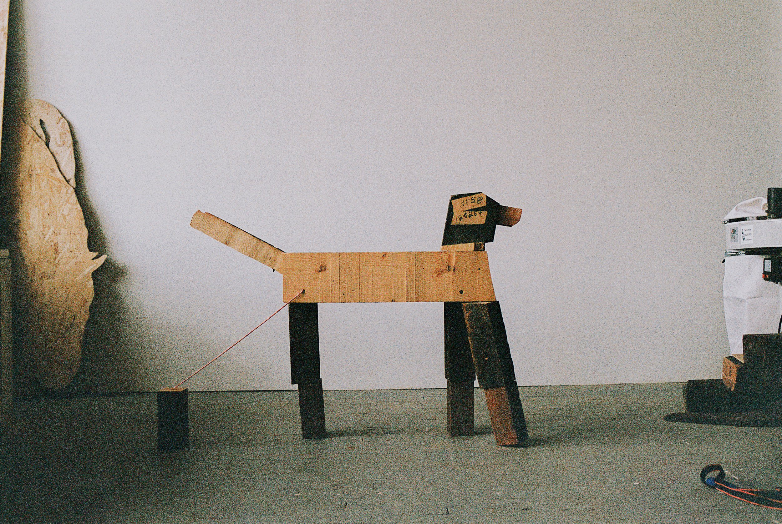RF_Film-18.jpg