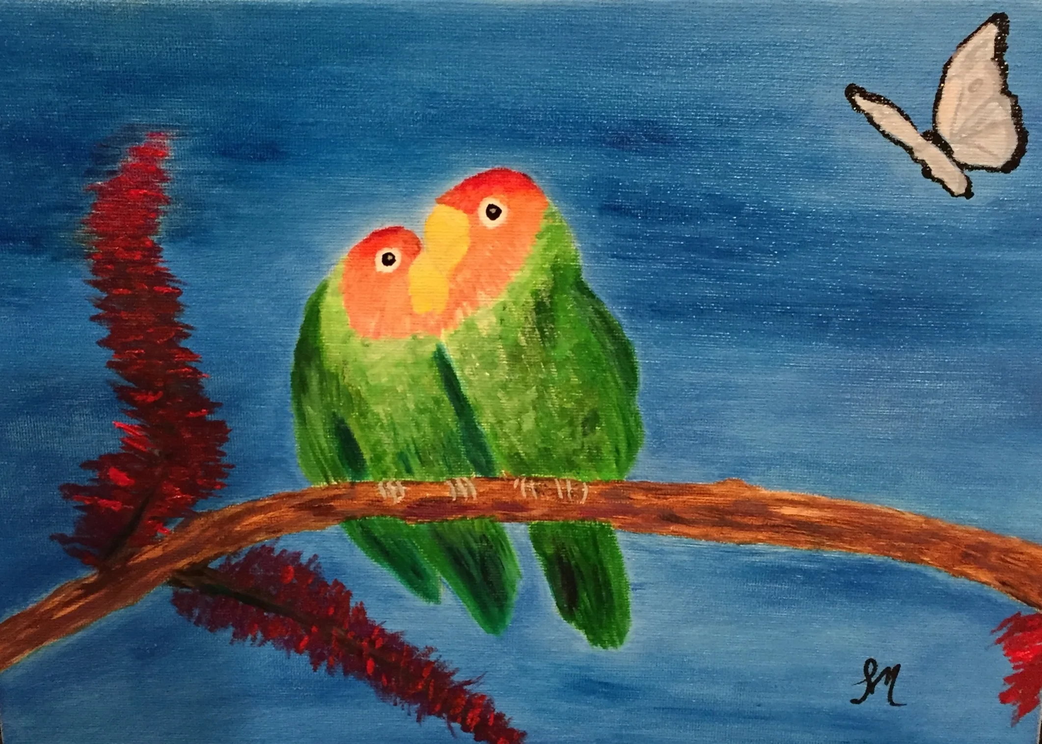 Lovebirds in Trinidad