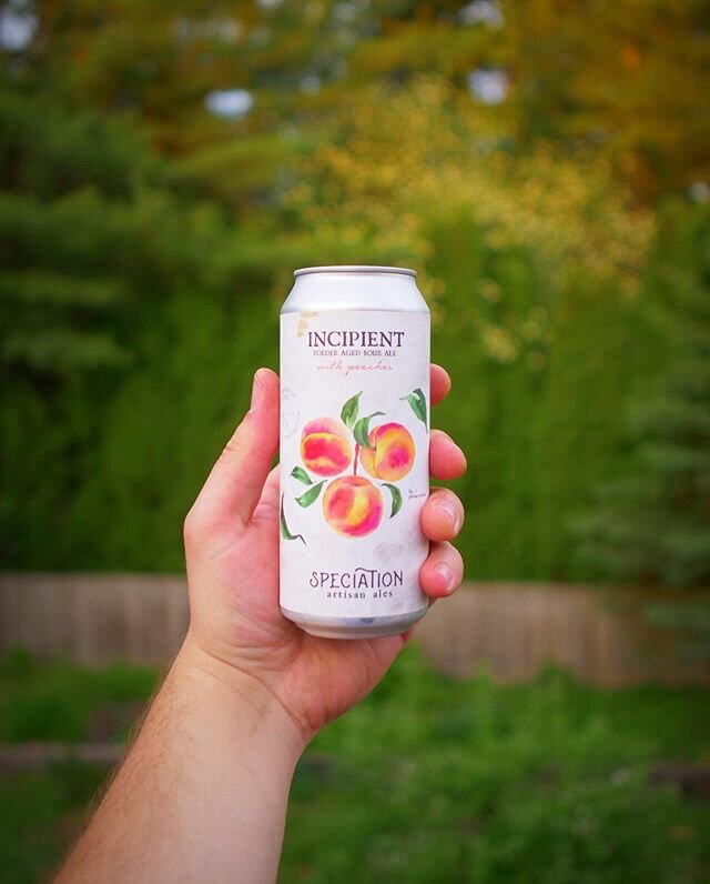 One of our early videos for @craftbeerdotcom featured @mermantiger from @speciationales. I have followed their journey closely and make a point to stop in every time I&rsquo;m in #Michigan. This #incipient with Peaches is one of a long list of reason