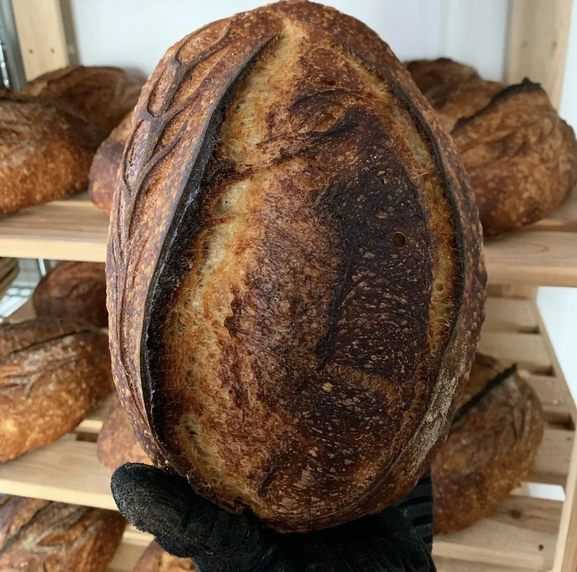 Country Sourdough :: Friday Pickup