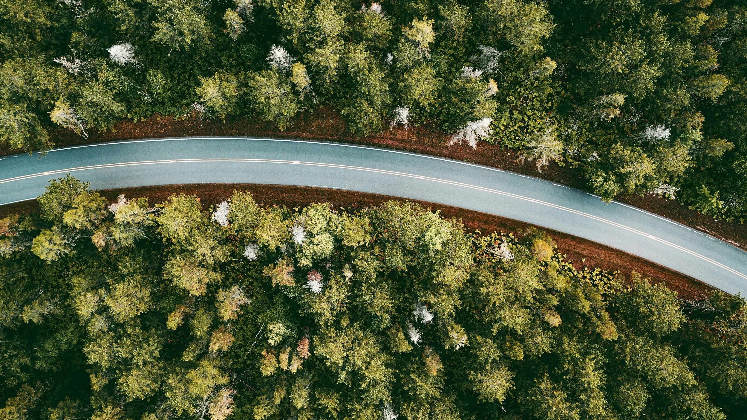 AdobeStock_137741108.jpeg