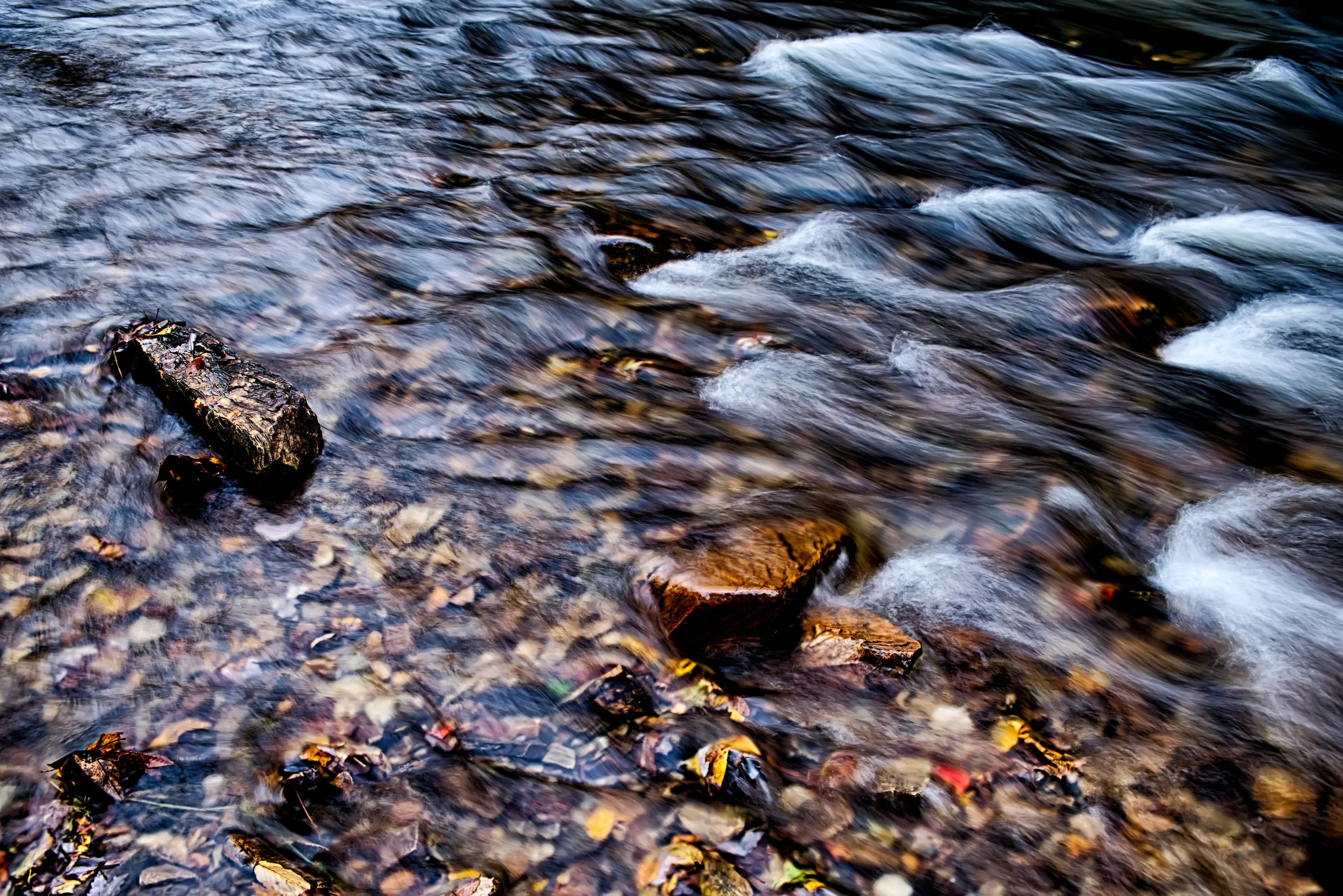 AdobeStock_94441890.jpeg