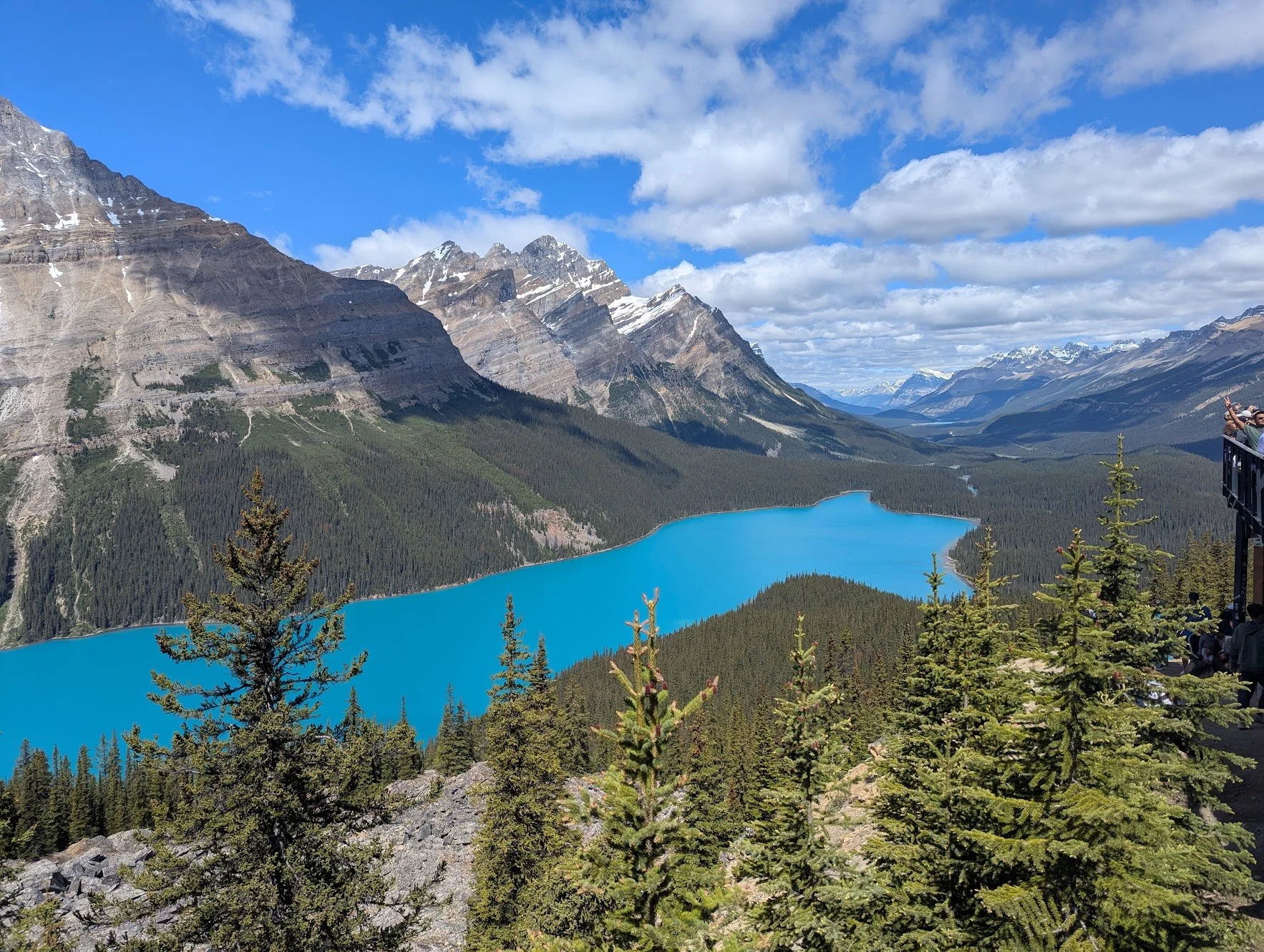 Peyto.jpg