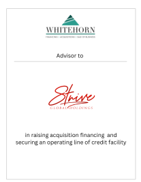 Acquisition Financing for Strive Global Holdings