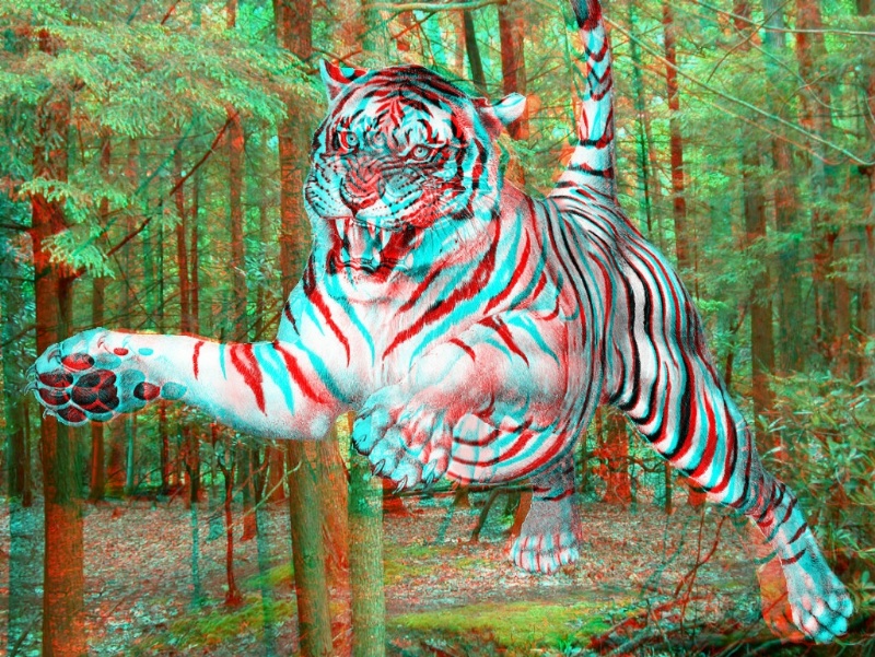 tiger-in-3D.jpg