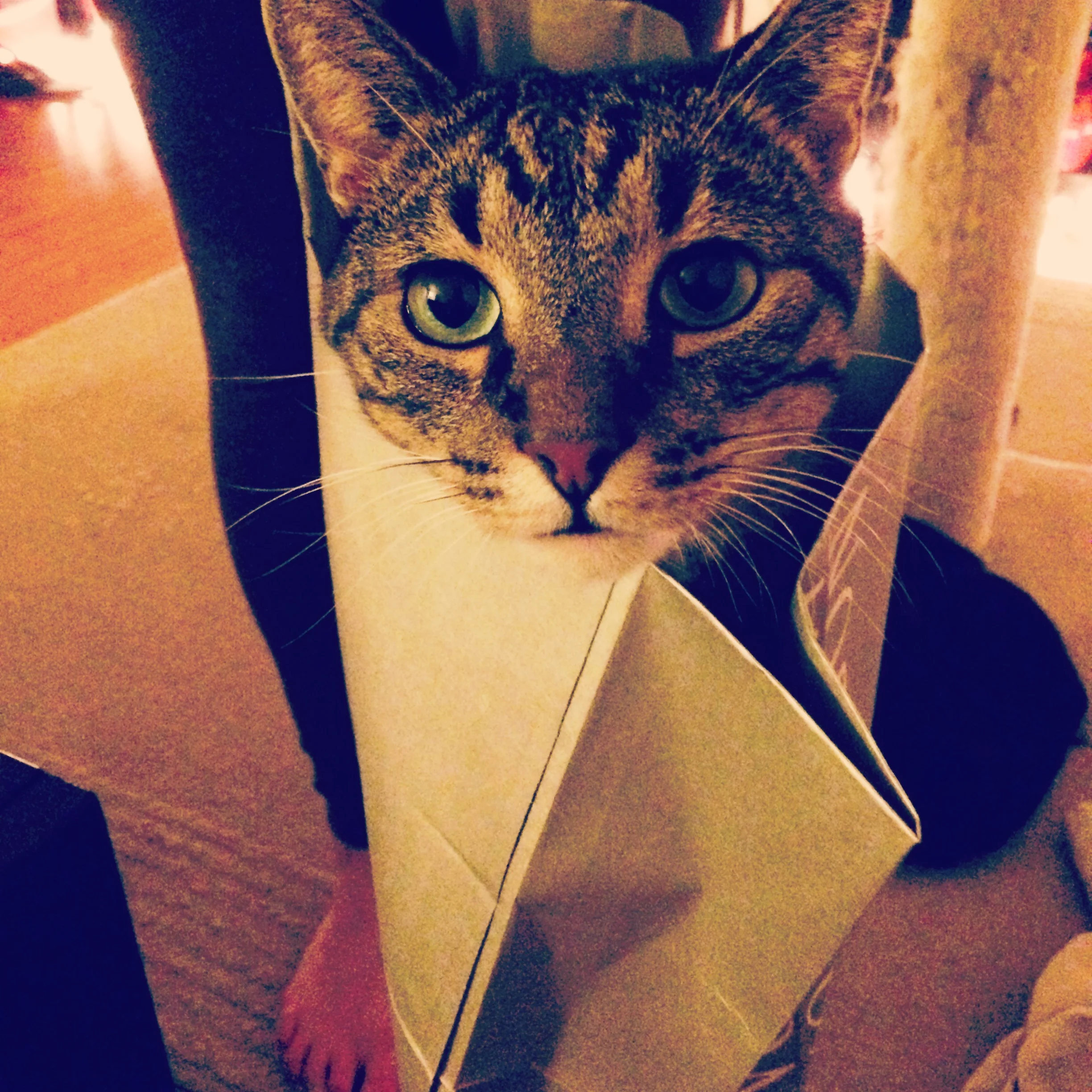 2014-03-24 21.09.38-2.jpg