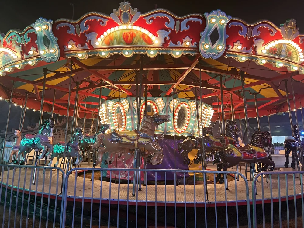 IMG_2408.jpeg