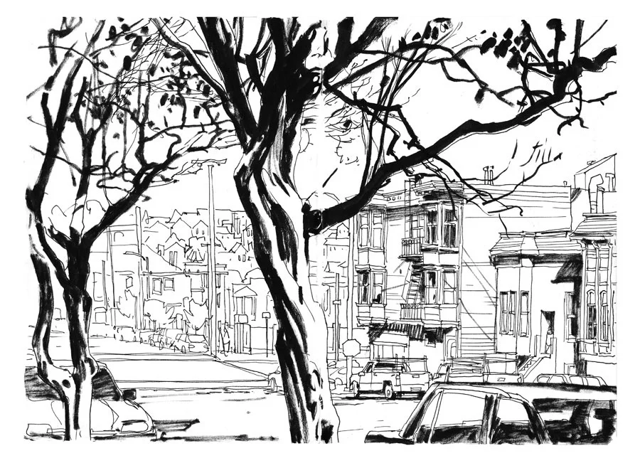 nsketch12.jpg