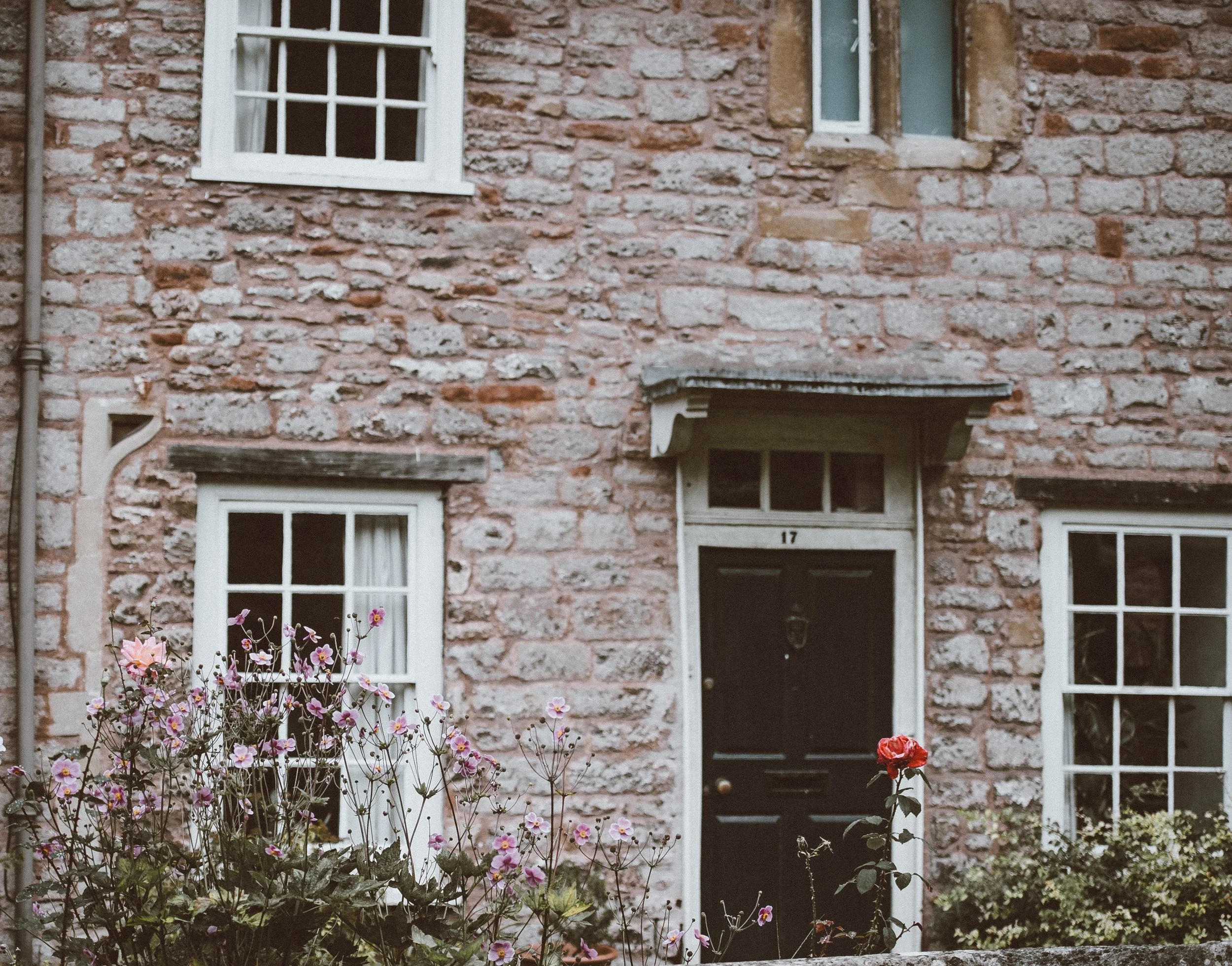 annie-spratt-418279-unsplash.jpg